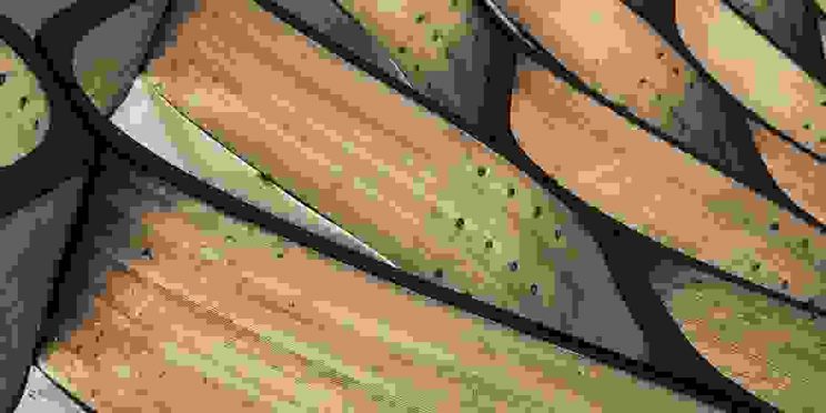 Wavy wood
